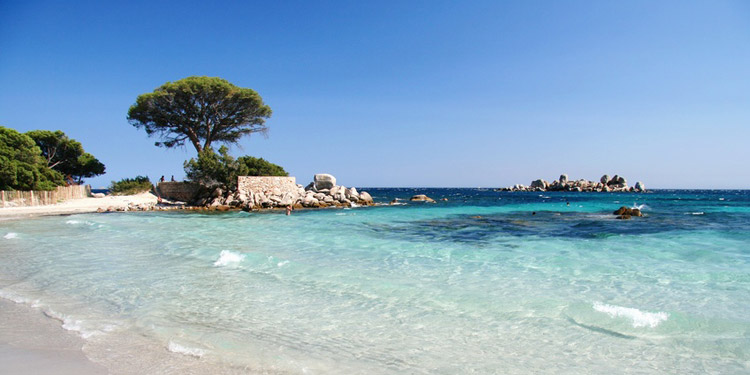 Plage de palombaggia